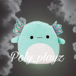 Poly_playz official