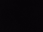 오리쫑