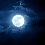 Twxl1ght Beautique
