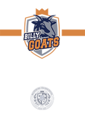 Wall Mounted Championship Banner