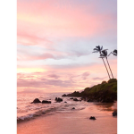 pink paradise x