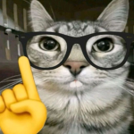Chunguscat