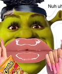 Shrek Material gurls