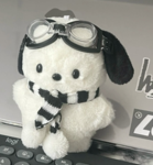Rainvfall's fan group