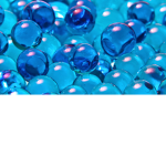 The BlueBubbles Fan Club!