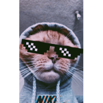 José que poner aquí xD
