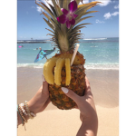basicpineapplez