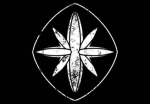 ElementClothing