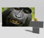 MonkeyFaceGames