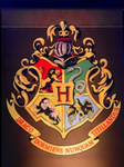 ｡-Hogwarts-｡