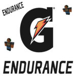 Endurance ®
