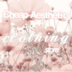Cheap Aesthetic CIothing$