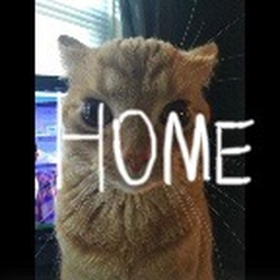 Home