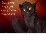 Welcome to my Warrior Cats Chat Room