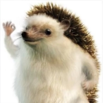coziiclothes