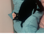 Our Furry Friends Club