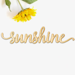 Sunshine Boutique.