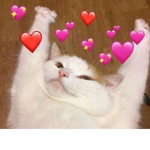 Vibing_Cats