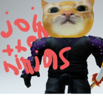 Only ninja kittens And ninja dogs and rats hampter