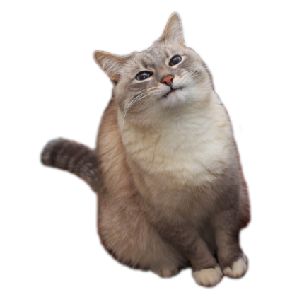 blini cat transparent Roblox decal