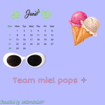 Team miel pops
