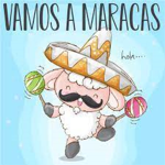 ME GUSTA MEXICAN SHEEP