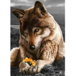 midnight flower wolf