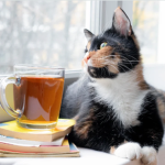 Cat's and Tea Empire