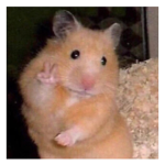 ~Potatoe Bread~