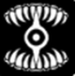 Blackout Legion Guild