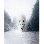 Fantasy wolfs