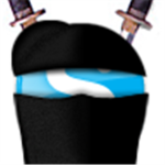 The Sky Ninja Clan