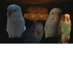 BOMBERTH