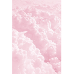 PinkPastel Fan Group!