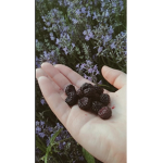 <3 Blackberries <3