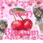 ~Cherry _Blossom~