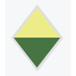 South African 1st Infantry Division 1940's