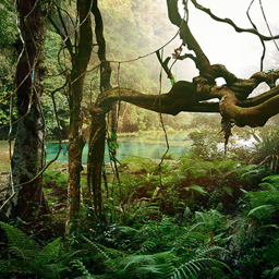 The Jungle! NEW UPDATE!!