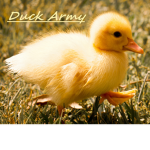 .Duck_Army.