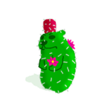 Prickly Pear Chomik