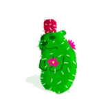 Prickly Pear Chomik