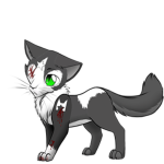 Warrior Cats Wiki/Fandom