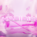 Habibis Clothing