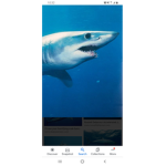 Aquatic life endanger awareness group