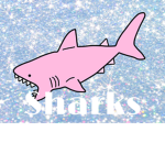 My little sharks