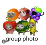 The fruit cats gang