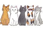 Kitty cat Adventures
