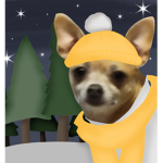 Chihuahua Worshipping Club