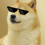 Riley and doges