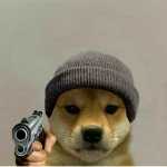 Doggos rule the world<3